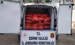 Edirne'de 1 ton kaçak kum midyesi!