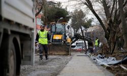 Sakarya'nın en eski caddesi modern görünüme kavuşuyor