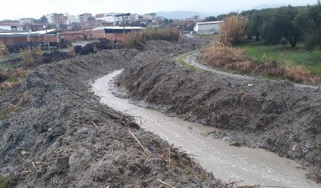 Manisa Zeytinliova’da dere temizliği