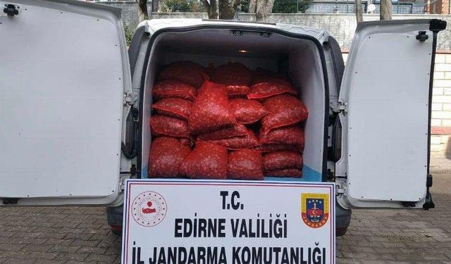 Edirne'de 1 ton kaçak kum midyesi!