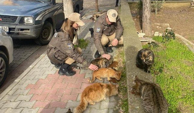 Keşan'da polis ekipleri sokak hayvanlarını besledi